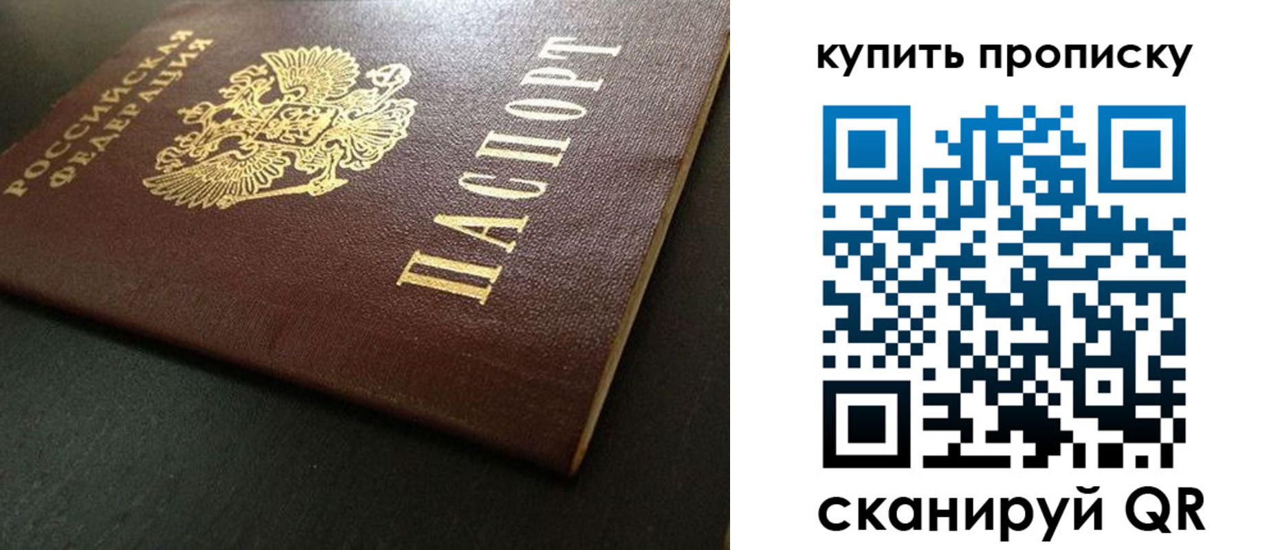прописка законно в Славгороде
